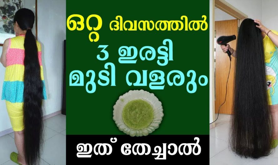 മുടികൊഴിച്ചിൽ പരിഹരിക്കുന്നതിനും അകാലനര  ഒഴിവാക്കുന്നതിന് കിടിലൻ വഴി.