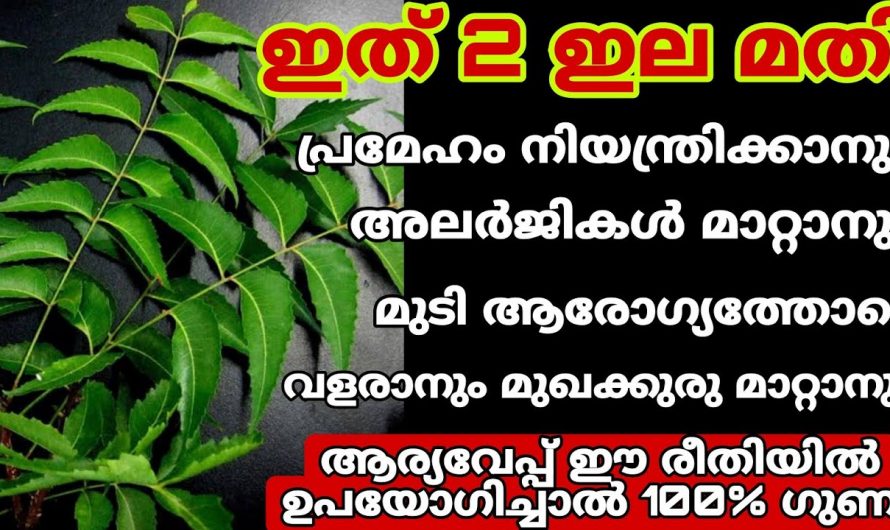 ഞെട്ടിക്കും ഗുണങ്ങൾ,ഈ   സസ്യത്തിൽ തട്ടിവരുന്ന കാറ്റിനു പോലും ഔഷധ ഗുണമുണ്ട്…