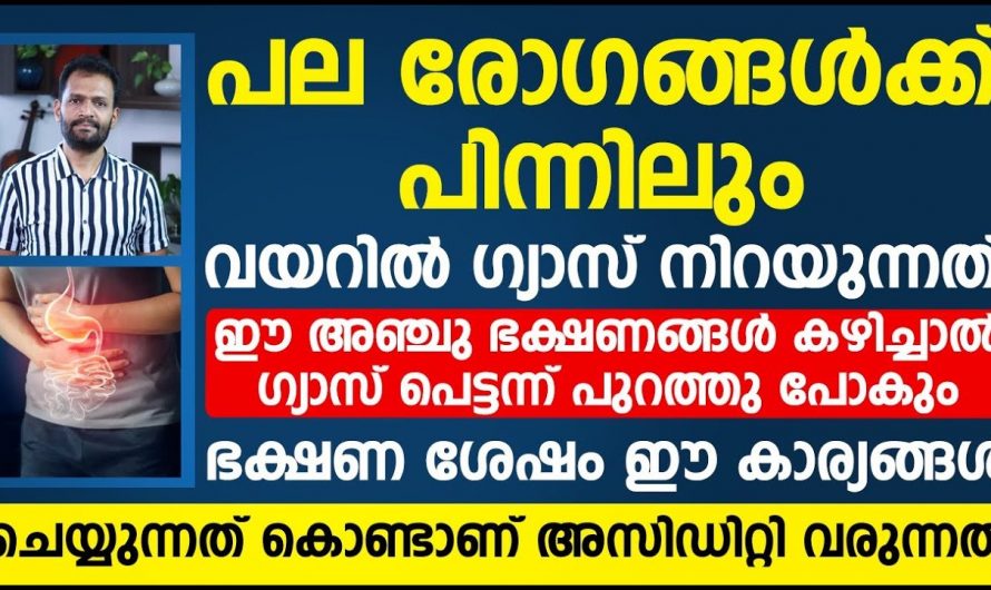 ഗ്യാസ്ട്രബിൾ പെട്ടെന്ന് തന്നെ മാറി കിട്ടുവാൻ ആയിട്ട് ഈ അഞ്ചു വർഷങ്ങൾ കഴിച്ചാൽ മതി