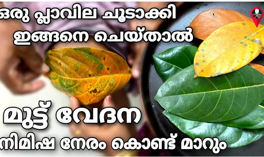 എത്ര കടുത്ത  ശരീരവേദനകളും ഗ്യാസും അസിഡിറ്റിയും നിമിഷം നേരം കൊണ്ട് അപ്രത്യക്ഷമാകും…