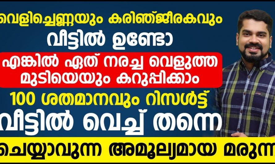 കഷണ്ടിയും മുടികൊഴിച്ചിലും പരിഹരിച്ച് മുടിയെ സംരക്ഷിക്കാൻ….