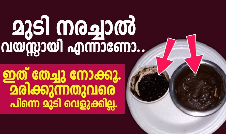 നര മാറുകയും മുടി തഴച്ചു വളരുകയും ചെയ്യുന്ന ഈ ഒരു മാർഗ്ഗം പരീക്ഷിച്ചു നോക്കൂ