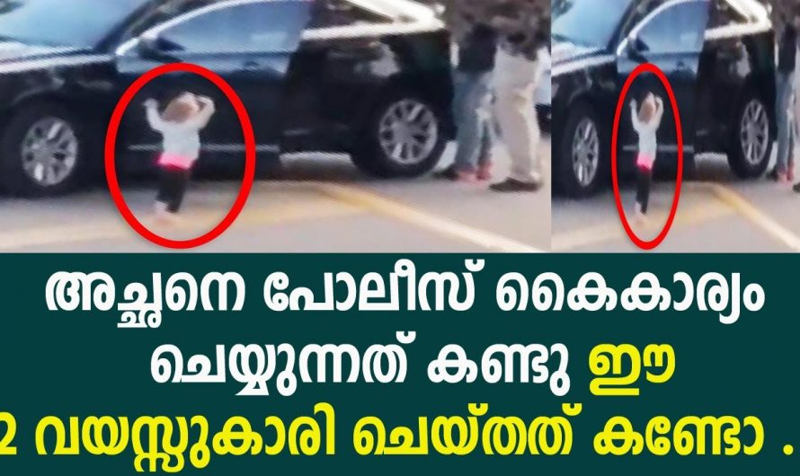 ഈ രണ്ടു വയസ്സുകാരിയുടെ പ്രവർത്തി പോലീസ് വരെ കണ്ണും തള്ളി നിന്നുപോയി…