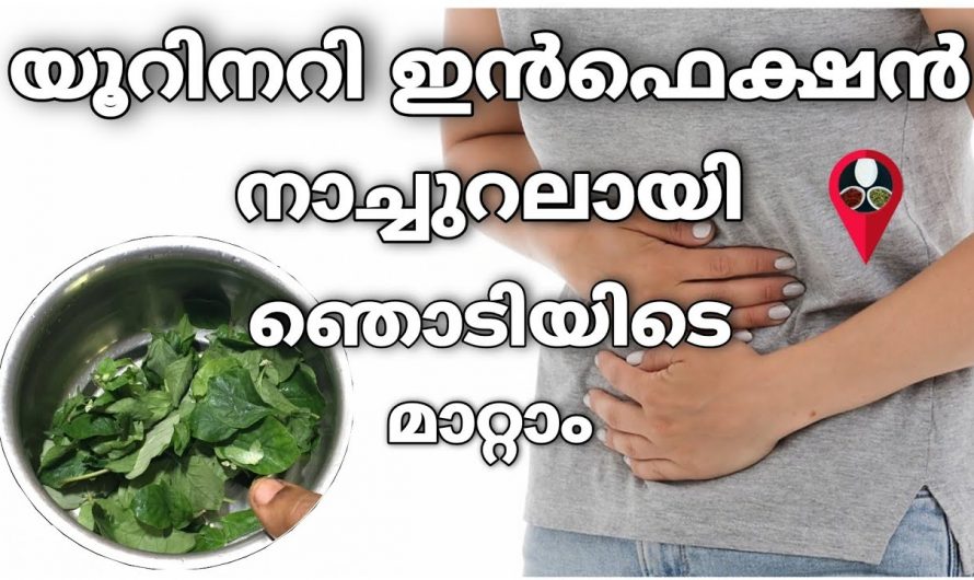 ഈ നാട്ടറിവിലൂടെ മൂത്രത്തിൽ പഴുപ്പ് മാറ്റിയെടുക്കാം