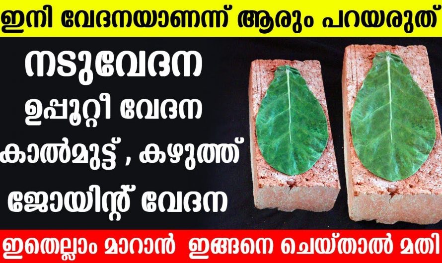 ശരീര വേദനകൾ അപ്രത്യക്ഷമാകും ഈ ഒരു കാര്യം ചെയ്താൽ…