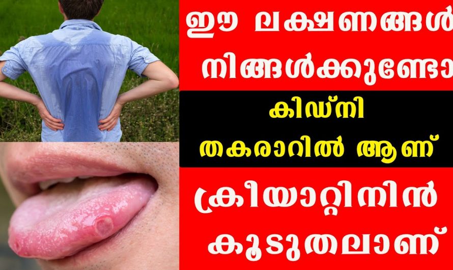 ശരീരം കാണിക്കുന്ന ഇത്തരം ലക്ഷണങ്ങൾ നമ്മുടെ കിഡ്നി തകരാറിനെ സൂചിപ്പിക്കുന്നു..😱