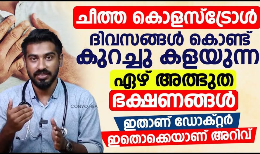 ഈ ഭക്ഷണപദാർത്ഥങ്ങൾ കഴിക്കുന്നത്  ചീത്ത കൊളസ്ട്രോൾ കുറച്ച് ആരോഗ്യം വർദ്ധിപ്പിക്കും. 👌