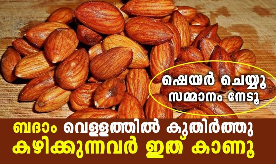 ആരോഗ്യപ്രശ് നം ഉള്ളവർക്ക് ബദാം ദിവസ കഴിച്ചു നോക്കൂ. 😱