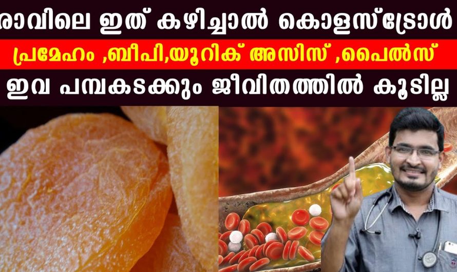 രോഗങ്ങളെ ഒരു പരിധിവരെ  തടഞ്ഞു നിർത്താൻ  ഇത്തരം കാര്യങ്ങൾ ശ്രദ്ധിക്കുക…😱