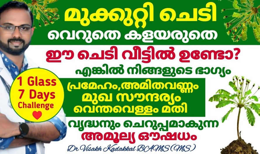 മുക്കുറ്റി എന്ന അത്ഭുത ചെടിയുടെ ആരോഗ്യഗുണങ്ങൾ