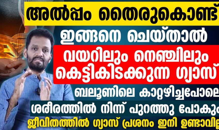 തൈര് ഉപയോഗിച്ചുകൊണ്ട് നമുക്ക് നെഞ്ചിലും വയറിലും ഉള്ള ഗ്യാസ് പുറത്തു കളയാം 🥰