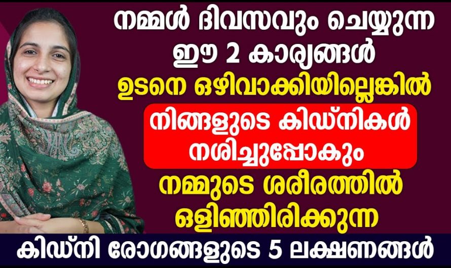 കിഡ്നി സംബന്ധമായ അസുഖങ്ങളെ  പരിഹരിക്കാനും വരാതിരിക്കാനും ഇത്തരം കാര്യങ്ങൾ ശ്രദ്ധിക്കുക…😱