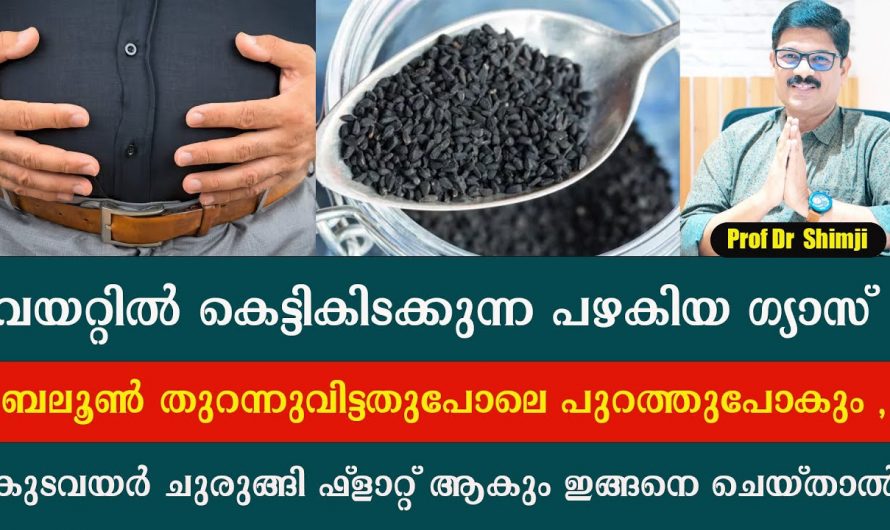 ഗ്യാസ്ട്രബിൾ പുഞ്ചിരിച്ചിൽ പുളിച്ചുതികട്ടൽ   എളുപ്പത്തിൽ പരിഹരിക്കാം. 👌