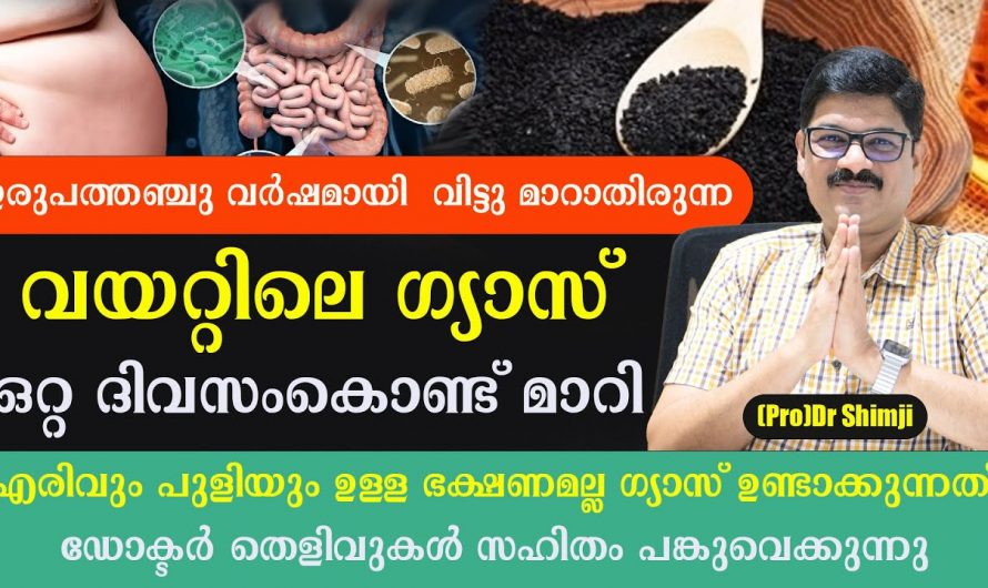 അസിഡിറ്റിയും ദഹനപ്രശ്നങ്ങളും എളുപ്പത്തിൽ പരിഹരിക്കാൻ..😱