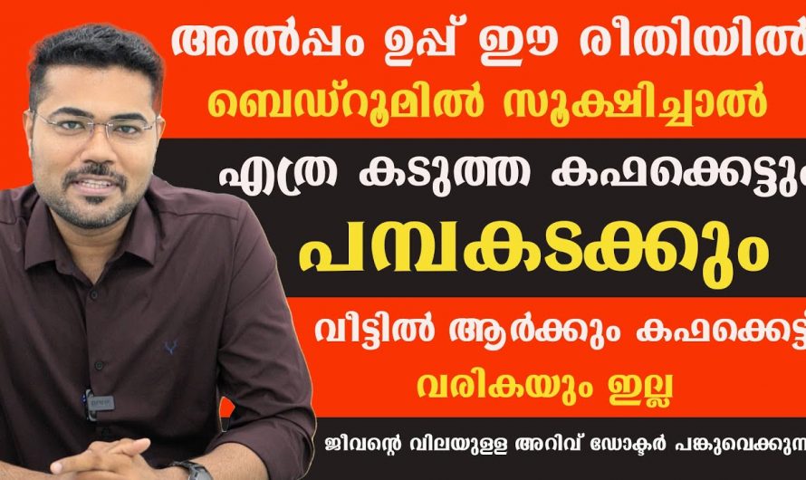 അടിക്കടി ഉണ്ടാകുന്ന കഫക്കെട്ട് എങ്ങനെ പ്രതിരോധിക്കാം.. 😱