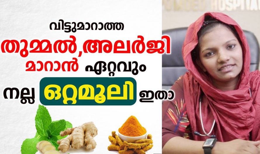 എത്ര കടുത്ത  അലർജിയും എളുപ്പത്തിൽ പരിഹരിക്കാം..😱