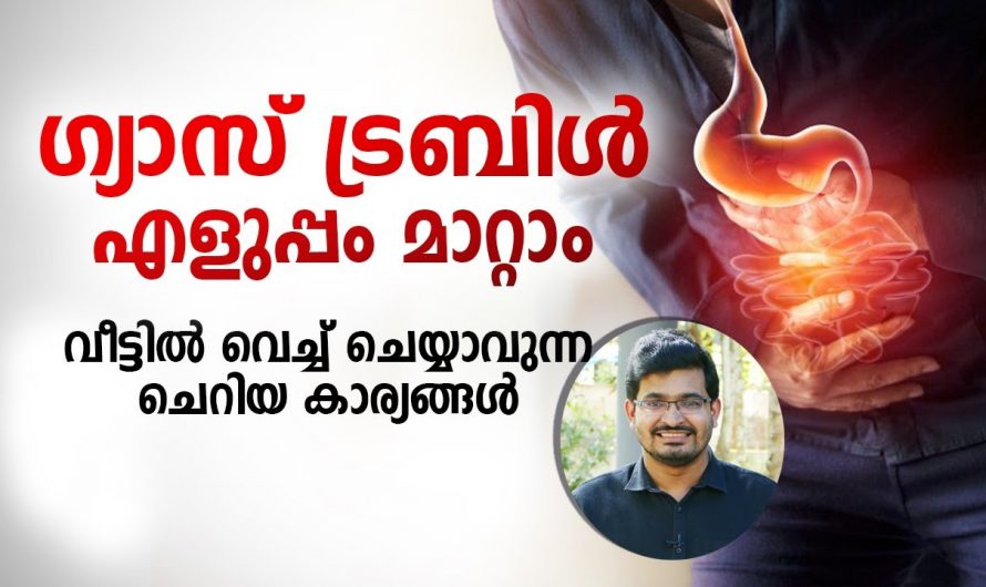 ഇത്തരം കാര്യങ്ങൾ ശ്രദ്ധിച്ചാൽ ഗ്യാസ് ട്രബിൾ മൂലമുള്ള പ്രശ്നങ്ങൾ എളുപ്പത്തിൽ പരിഹരിക്കാം…