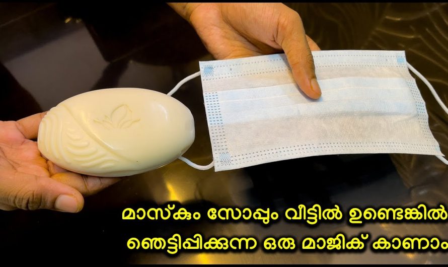 നിങ്ങളെല്ലാവരും സോപ്പ് ഉപയോഗിക്കുന്നവരാണെങ്കിൽ ഈ മാർഗമുതൽ സ്വീകരിച്ചു ഗുണങ്ങൾ…😱