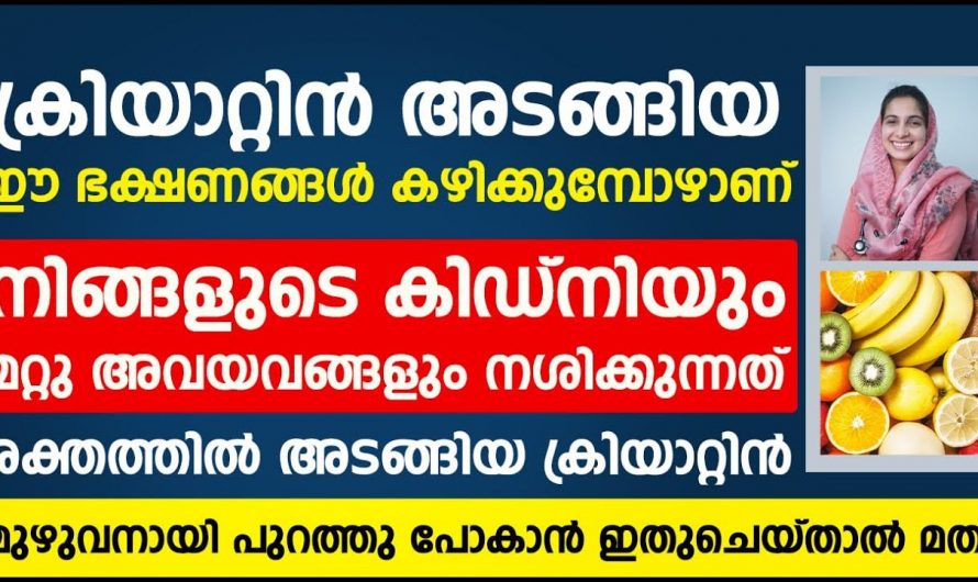 ഇത്തരത്തിലുള്ള നാല് ഭക്ഷണങ്ങൾ ഒഴിവാക്കൂ ശരീരത്തിൽ ക്രിയാറ്റിനിൻ അളവ് തുരുതപ്പെടുത്തൂ.🙄