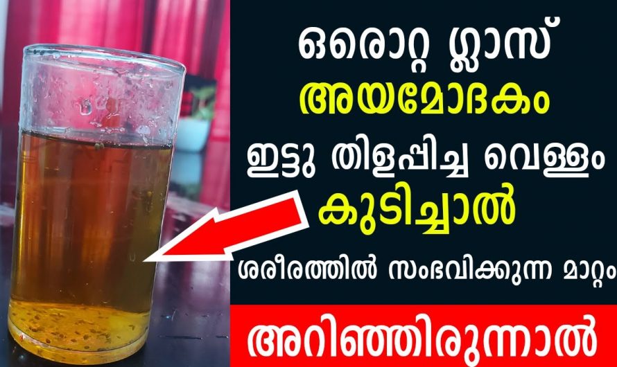 ഒരു ഗ്ലാസ്സായി മോദകം തിളപ്പിച്ച വെള്ളം കുടിച്ചു നോക്കൂ നമ്മുടെ ശരീരത്തിൽ സംഭവിക്കുന്ന മാറ്റങ്ങളെ കുറിച്ച് അറിയാം 🥰