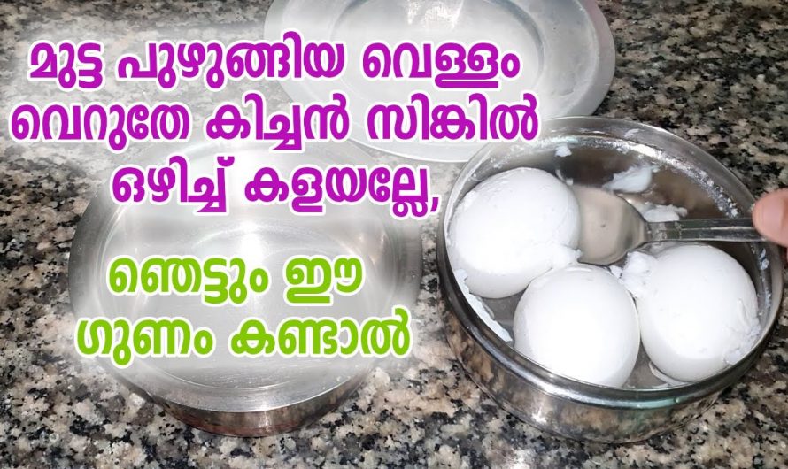 മുട്ടത്തോടും മുട്ട പുഴുങ്ങിയ വെള്ളം ഉപയോഗിച്ച് ഈ ഒരു കാര്യം ചെയ്തു നോക്കൂ ഞെട്ടിക്കും റിസൾട്ട്…👌