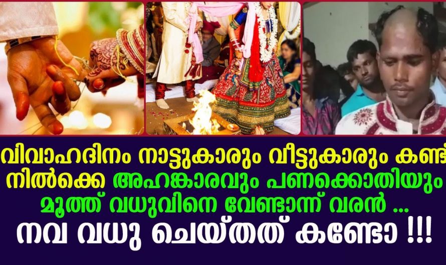 സ്ത്രീധനത്തിന്റെ പേരിൽ അപമാനം ഈ പെൺകുട്ടി ചെയ്തത് കണ്ടോ…