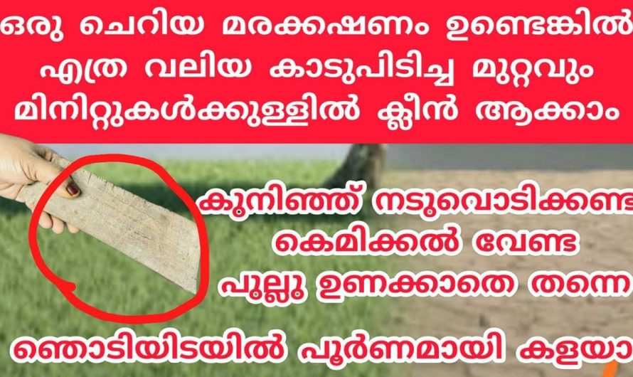 പറമ്പിലെയും മുറ്റത്തെയും പുല്ലുകൾ എളുപ്പത്തിൽ നീക്കം ചെയ്യാം…👌