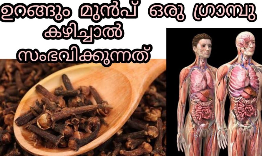 എണ്ണിയാൽ തീരാത്ത ഗുണങ്ങളുള്ള ഒന്നാണ് ഗ്രാമ്പൂ! കൂടുതൽ കാര്യങ്ങൾ അറിയാം 🥰