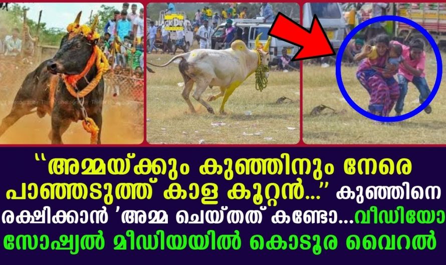 പ്രപഞ്ചത്തിലെ ഏറ്റവും വലിയ പോരാളിയാണ് അമ്മ കാരണം ഈ വീഡിയോ ഒന്ന് കണ്ടു നോക്കൂ…😱