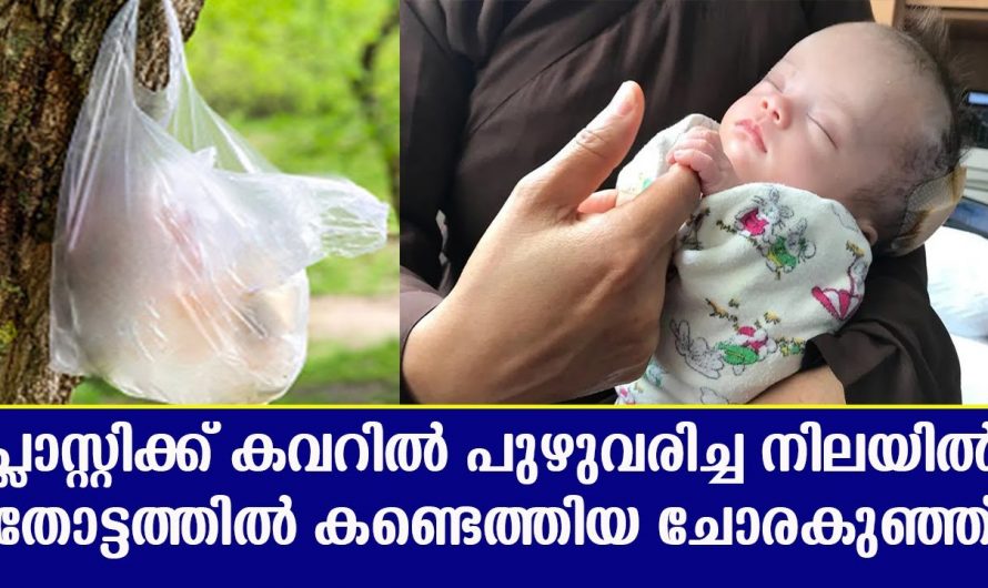 മനുഷ്യമനസാക്ഷിയെ ഞെട്ടിച്ച ഈ സംഭവം എന്നത് എവിടെയാണെന്നറിയേണ്ട. 😱