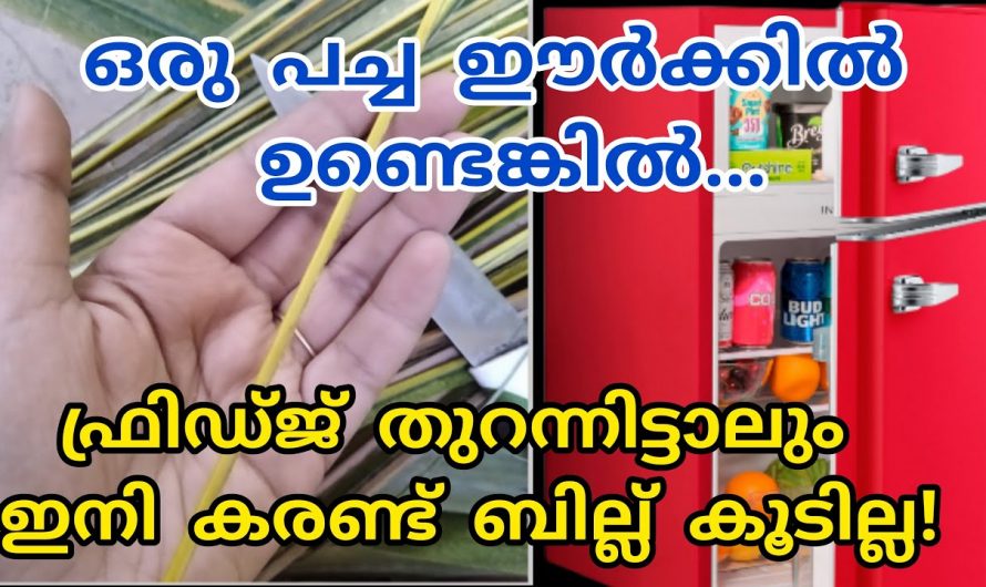 ചുമരിലെ പേനകൊണ്ട് എഴുതിയതും സ്കെച്ച് മാർക്കർ ക്രയോൺസ് എന്നിവ കൊണ്ട് എഴുതിയ പാടുകളും എളുപ്പത്തിൽ നീക്കം ചെയ്യാം…😱