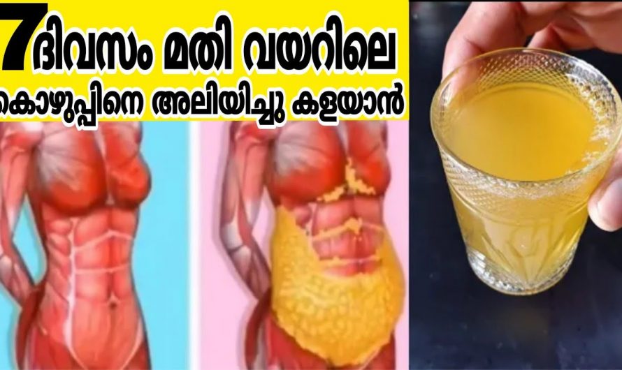 ശരീരത്തിലെ കൊഴുപ്പ് പരിഹരിച്ച് ശരീരഭാരം നിയന്ത്രിക്കാൻ..👌