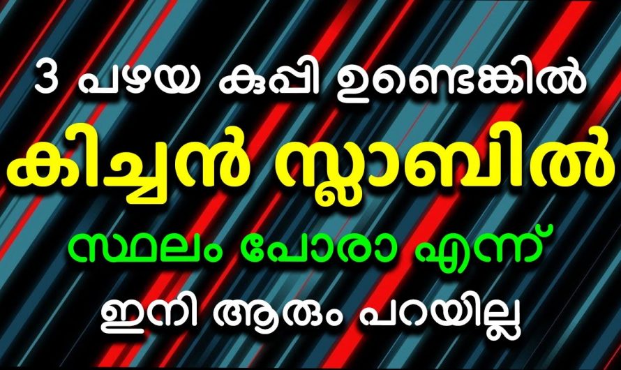 നമ്മുടെ അടുക്കളയിലെ പാത്രങ്ങൾ ഒതുങ്ങാൻ ഇതാ കിടിലൻ വഴി..👌