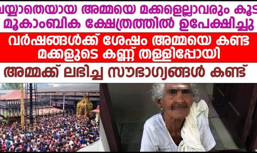 അമ്മയെ മക്കളും എല്ലാവരും ക്ഷേത്രം നടയിൽ ഉപേക്ഷിച്ചു എന്നാൽ അമ്മയ്ക്ക് കൂട്ടായി വന്നത് ആരെന്ന് കണ്ടാല്‍ ഞെട്ടും…♥️