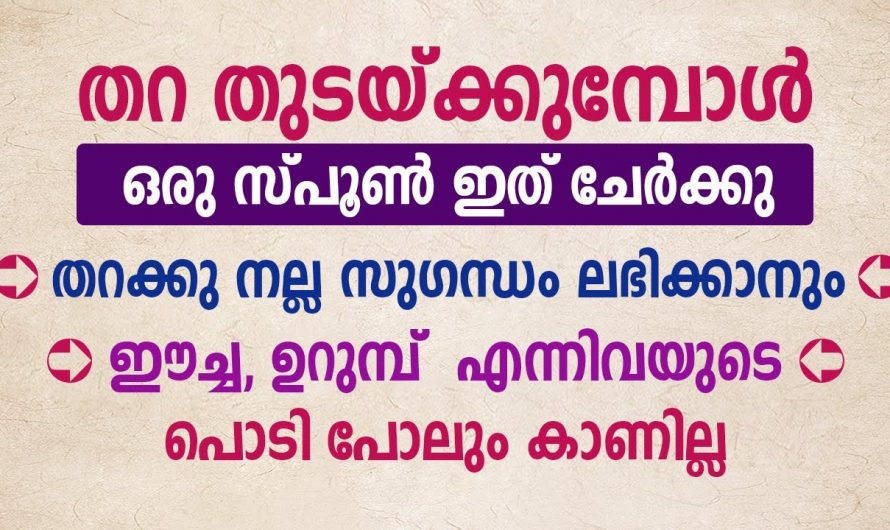 വീട്ടമ്മമാർ ഈയൊരു കാര്യം നിലം തുടയ്ക്കുമ്പോൾ ചെയ്താൽ ഞെട്ടിക്കും ഗുണങ്ങൾ…👌