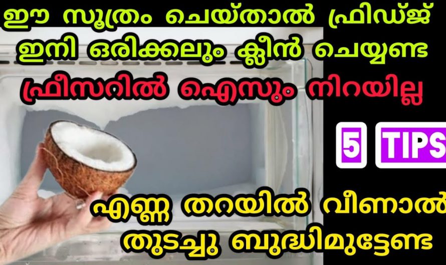 എത്ര പഴക്കം ചെന്ന ഫ്രിഡ്ജ് പുത്തൻ പുതിയത് പോലെയാക്കാൻ കിടിലൻ മാർഗ്ഗം….👌