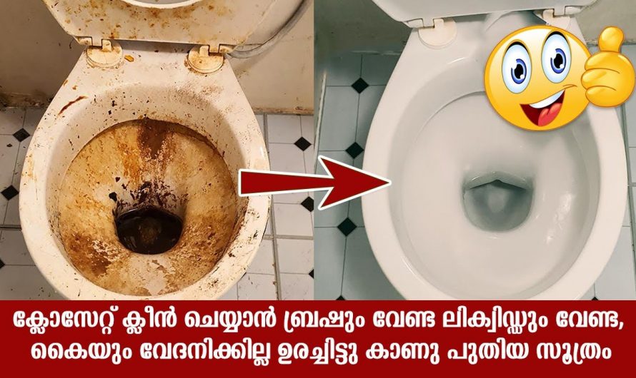 ബാത്റൂം ക്ലീൻ ചെയ്യാൻ ഇതാ ഒരു സൂത്രം🤣