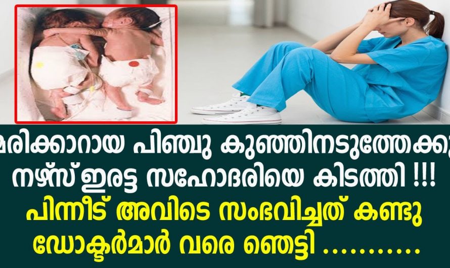 സ്നേഹിക്കുന്നവരുടെ സാന്നിധ്യം നമ്മളെ ജീവിതത്തിലേക്ക് കൊണ്ടുവരും…😱