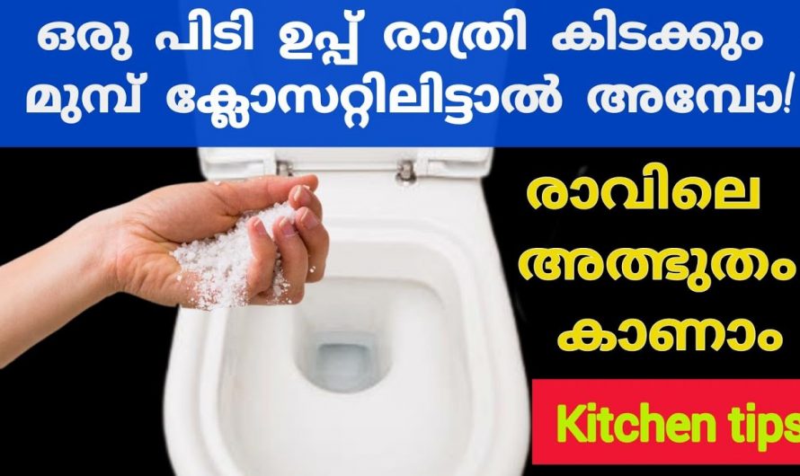 കറിക്ക് രുചി പകരുന്നതിന് മാത്രമല്ല ഉപ്പിന്റെ ഞെട്ടിക്കും ഗുണങ്ങൾ..  👌