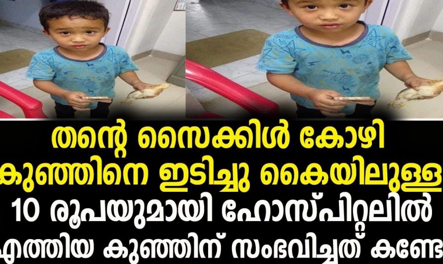 ഈ കുഞ്ഞു പയ്യൻ ചെയ്ത പ്രവർത്തി മുതിർന്നവരും മാതൃകയാക്കണം…