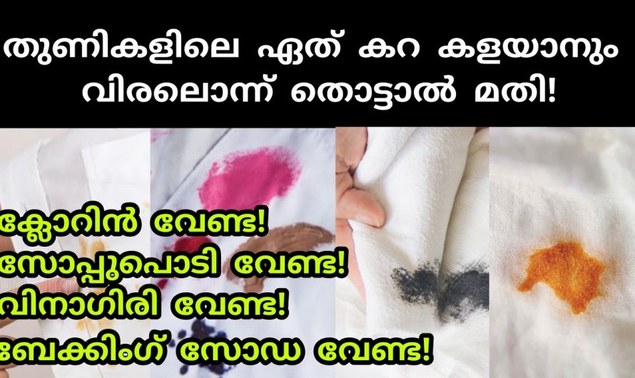 ഏതുതരം കറയാണെങ്കിൽ പോലും നിമിഷ നേരം കൊണ്ട് മാറ്റിയെടുക്കാം 🤔