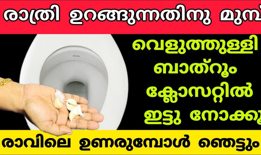 ഇത്തരം മാർഗങ്ങൾ സ്വീകരിച്ചു നോക്കൂ വളരെ എളുപ്പത്തിൽ തന്നെ ബാത്റൂമും  ക്ലോസറ്റ് പുത്തൻ പുതിയത് പോലെ ആക്കാം..