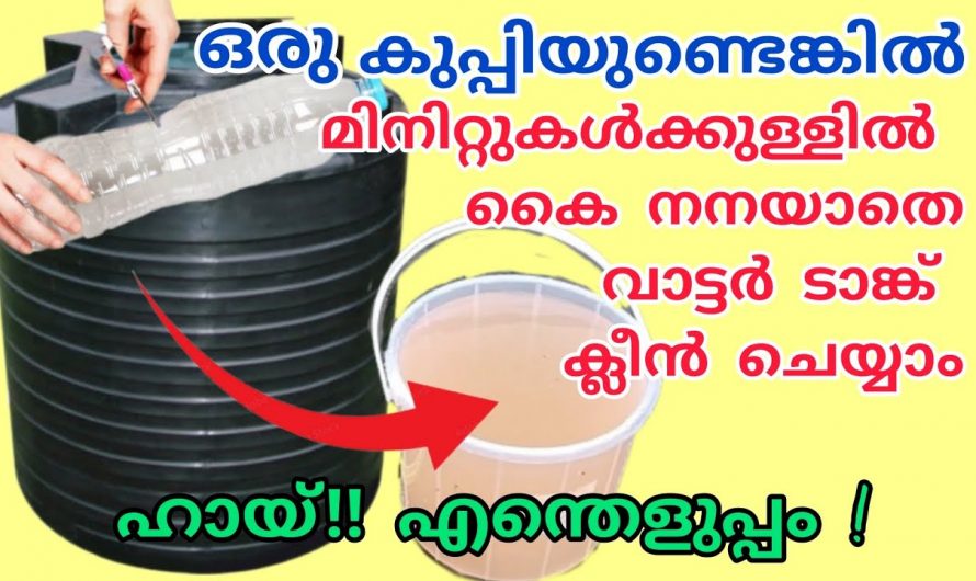 വീട്ടിലെ വാട്ടർ ടാങ്ക് എളുപ്പത്തിൽ ക്ലീൻ ചെയ്യാം.