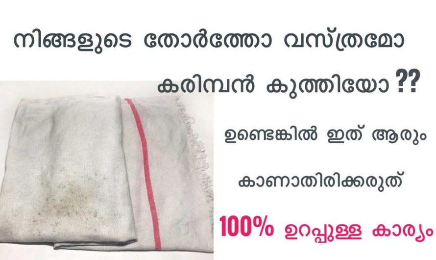 ഇങ്ങനെ ചെയ്താൽ തുണികളിലെ കരിമ്പൻ പിന്നീട് കാണുകപോലുമില്ല.