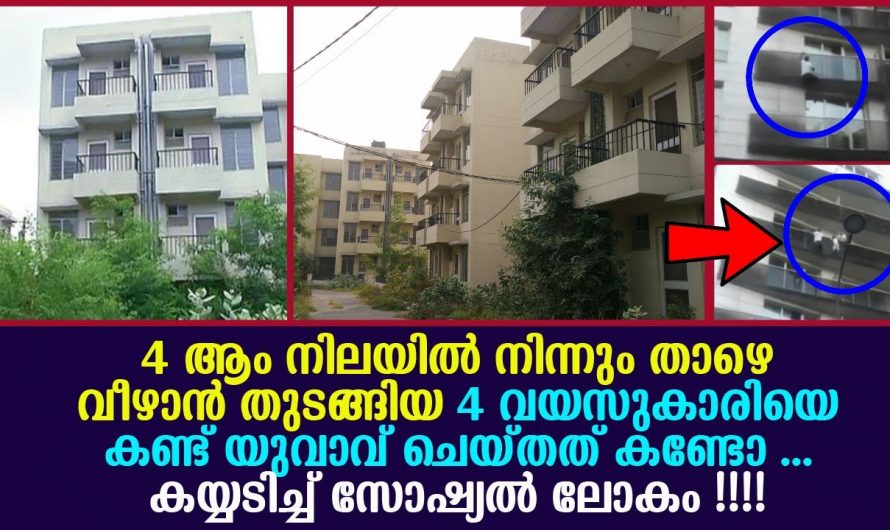 സ്വന്തം ജീവൻ പണയം വെച്ച് ഈ യുവാവ്  ചെയ്ത പ്രവർത്തി ആരെയും അതിശയിപ്പിക്കും..