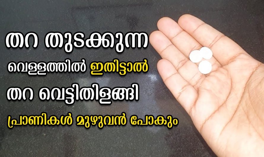 തറ തുടയ്ക്കുമ്പോൾ സുഗന്ധം പടർത്താൻ ഇത് ചെയ്താൽ മതി.