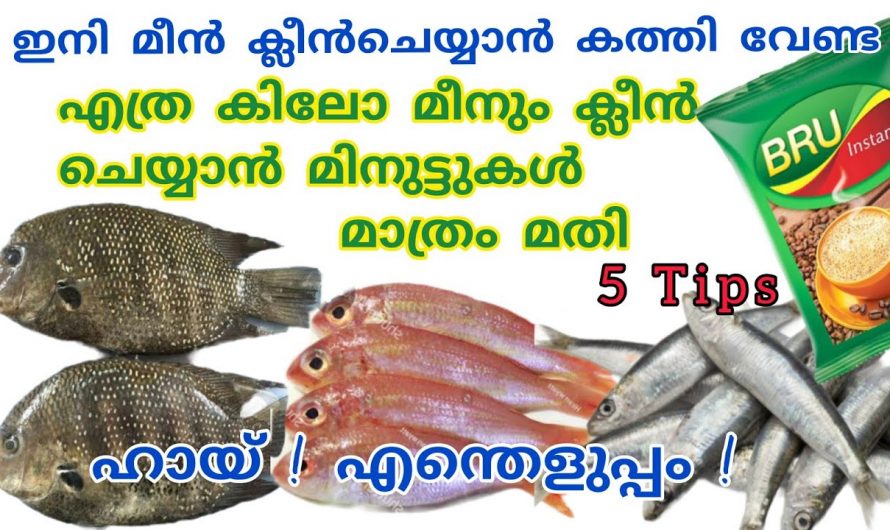 മീൻ വൃത്തിയാക്കുന്നത് ബുദ്ധിമുട്ടാണോ ഇതാ എളുപ്പത്തിൽ വൃത്തിയാക്കാം.