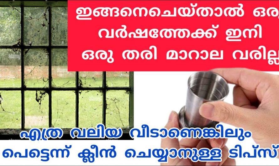 ഇങ്ങനെ ചെയ്താൽ വീട്ടിൽ പല്ലി ചിലന്തി പാറ്റ തുടങ്ങിയവ കയറുകയില്ല.