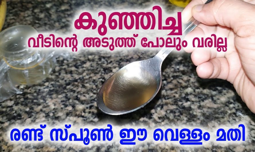 കുഞ്ഞിച്ച വീടിന്റെ അടുത്തുപോലും വരികയില്ല ഇങ്ങനെ ചെയ്താൽ മതി