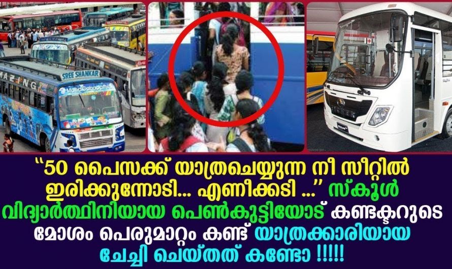 ബസ്സിൽ യാത്ര  ചെയ്യുന്ന വിദ്യാർത്ഥികളെ ചീത്ത പറയുന്നത് കണ്ടു ഈ യാത്രക്കാരി ചെയ്തത് കണ്ടോ..